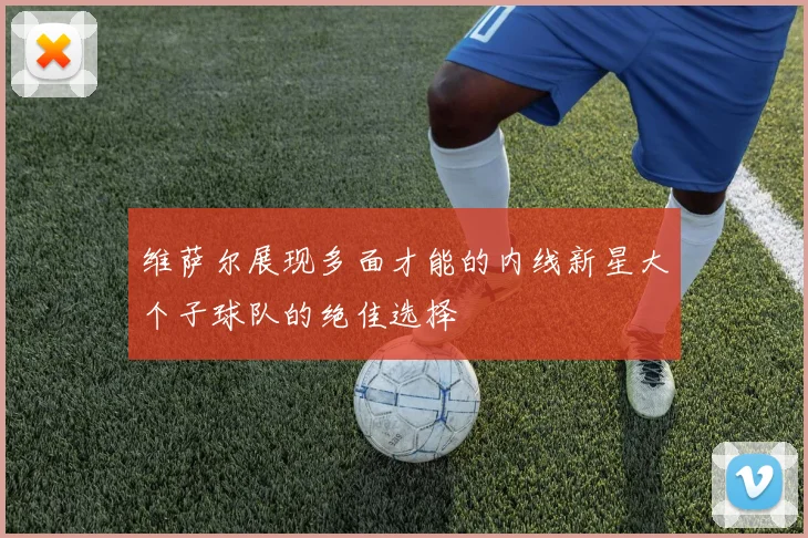 维萨尔展现多面才能的内线新星大个子球队的绝佳选择